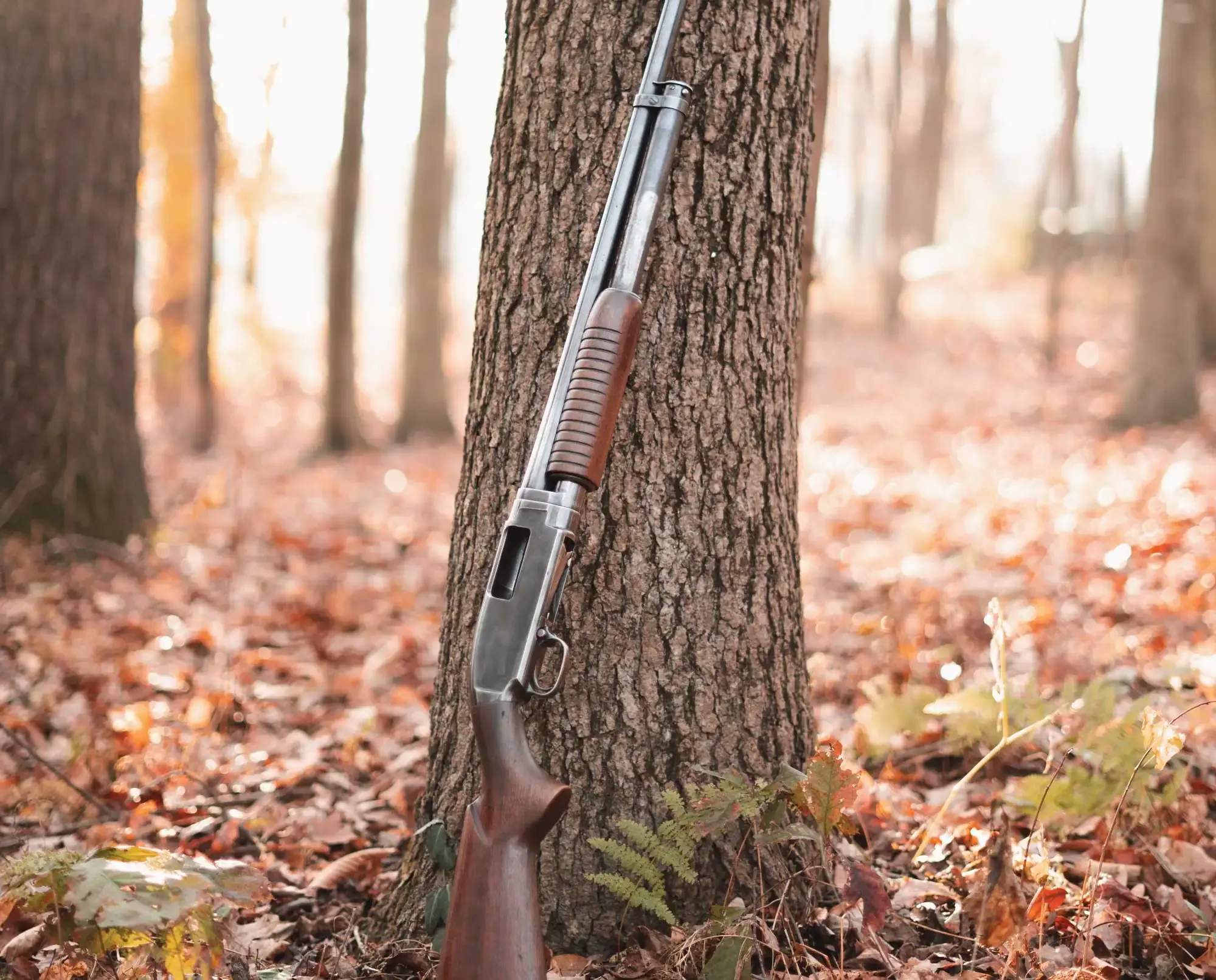 Winchester Model 12: The Perfect Repeater’s Variants, Special Grades, and What Collectors Look For