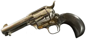 Colt SAA Birdshead revolver in .45 Colt with nickel finish and buffalo horn grip image 1