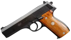 Minigun Model PP-10 by Edgar Budischowsky / Korriphila in 10mm Auto image 1