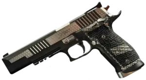 Sig Sauer P226 X-Six Silver Dust SAO Gen-2 pistol image 1