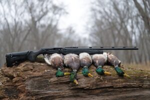 Benelli Super Black Eagle 3 Right Side View with Harvested Ducks firearm shown in detail view