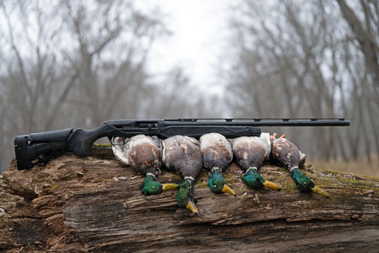 Benelli Super Black Eagle 3 Right Side View with Harvested Ducks firearm shown in detail view